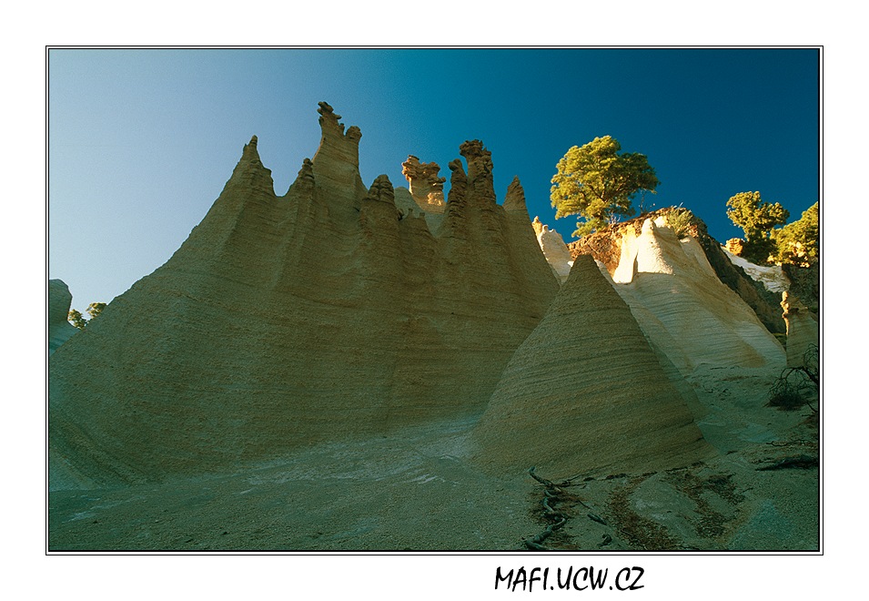 canaria06_05_22 .jpg